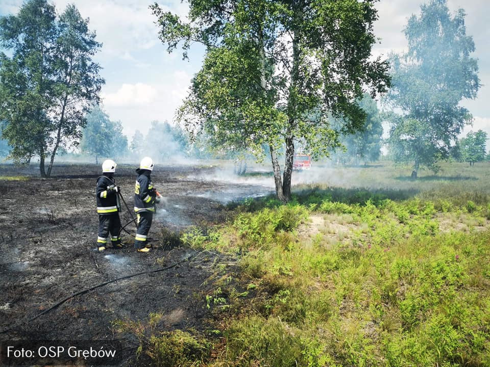 Pożar na poligonie w Nowej Dębie.