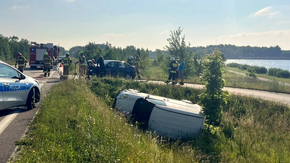 Auto wylądowało w przydrożnym rowie na trasie Tarnobrzeg - Stalowa Wola [ZDJĘCIA] - Zdjęcie główne