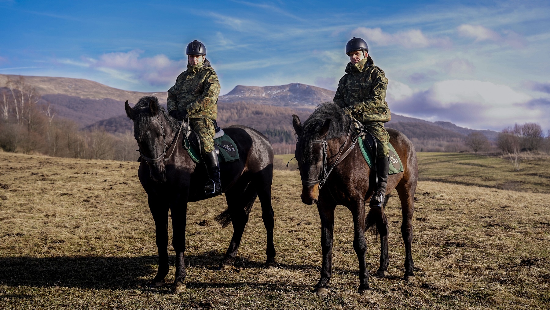 Evento i Pasat - poznaj nowe konie bieszczadzkiej Straży Granicznej [FOTO FILM] - Zdjęcie główne