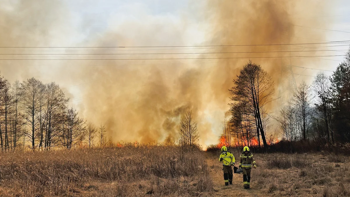 Na Podkarpaciu strażacy walczyli z ogniem co 12 minut - Zdjęcie główne
