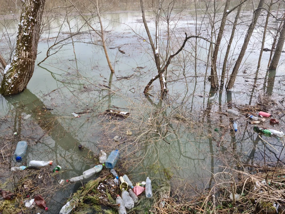 Wysoka woda w Solinie przyniosła na brzegi mnóstwo śmieci [ZDJĘCIA] - Zdjęcie główne