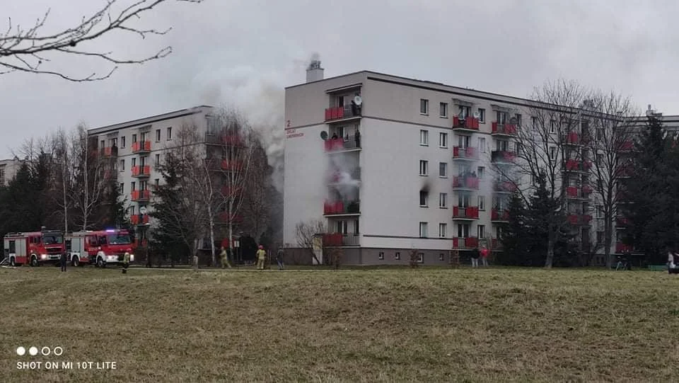 Ogień w mieszkaniu! Pożar w bloku na ulicy Orląt Lwowskich w Rzeszowie [ZDJĘCIA] - Zdjęcie główne