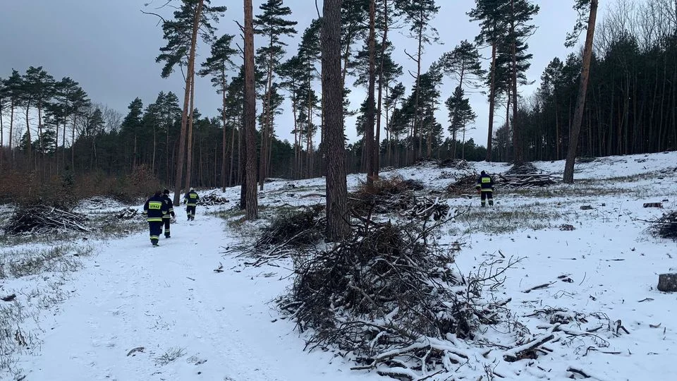 Mężczyzna zamarzł w lesie! Tragiczny finał poszukiwań 50-latka w powiecie dębickim - Zdjęcie główne