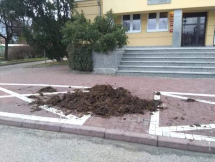 Wysypał gnój pod Urzędem Miasta [FOTO] - Zdjęcie główne