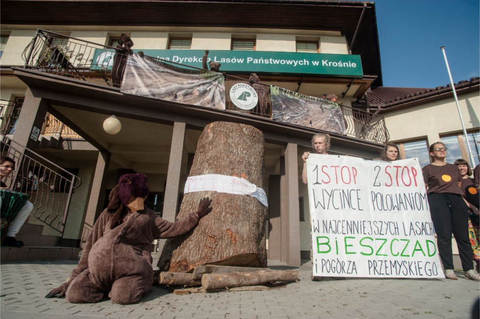 Protestowali przed RDLP w Krośnie [FOTO] - Zdjęcie główne