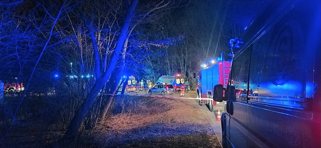 Makabra na drodze! Pod Niskiem BMW uderzyło w drzewo. Dwie osoby nie żyją, kolejne dwie są ranne! - Zdjęcie główne