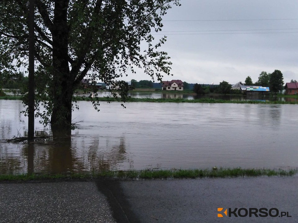 Mielec. Ponad 160 akcji ratunkowych w ciągu kilkunastu godzin!  - Zdjęcie główne