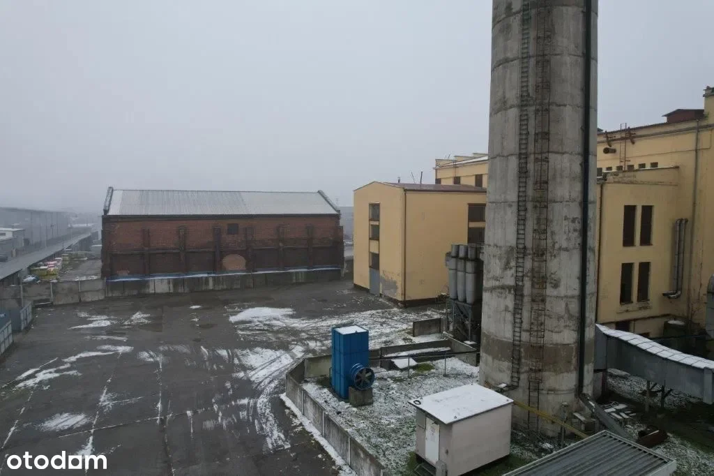Nieruchomość EC Przeworsk, ulica Lubomirskich. Cena: 3 262 600 zł, powierzchnia: 9442 metrów kwadratowych. Link do ogłoszenia: https://www.otodom.pl/pl/oferta/nieruchomosc-ec-przeworsk-ID4eUYh