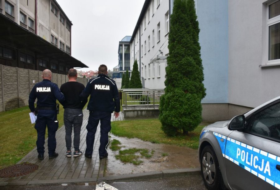 Mężczyzna zatrzymany za brutalne zabicie kota - Zdjęcie główne