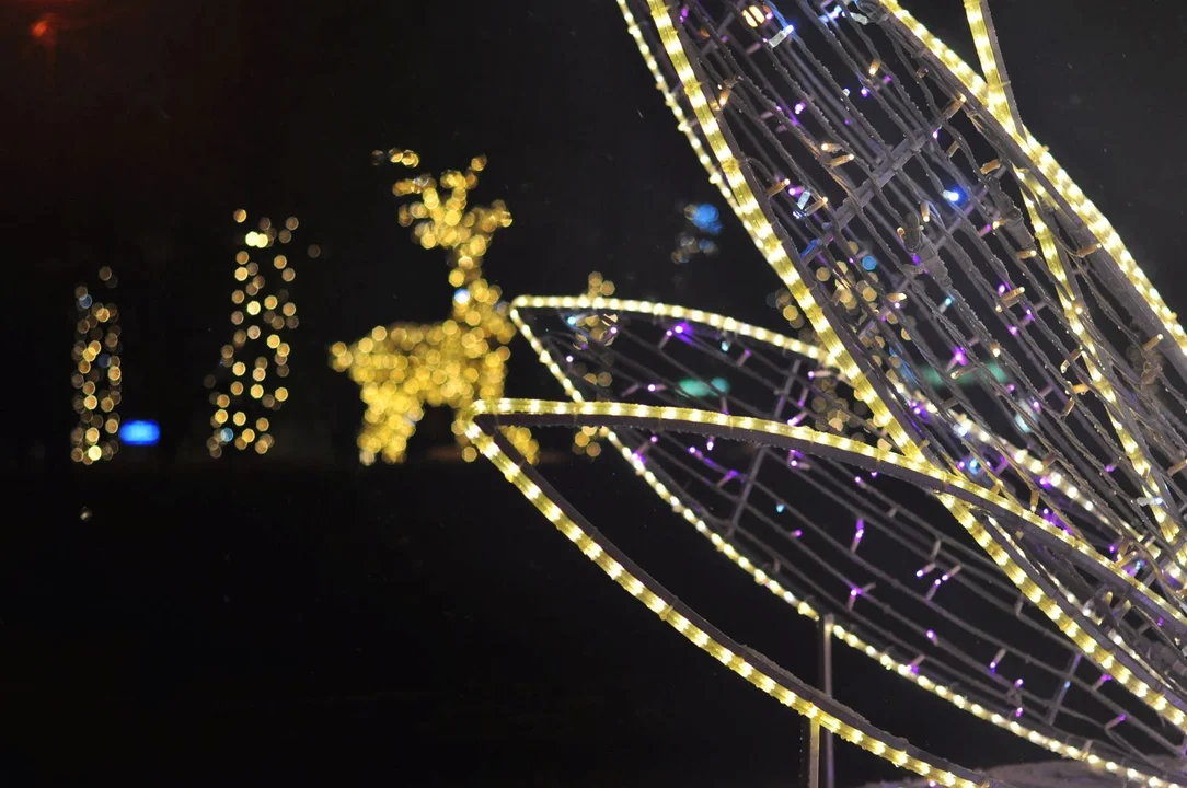 Świąteczne iluminacje rozbłysły w podkarpackich miastach. Zobacz fotografie [ZDJĘCIA] - Zdjęcie główne