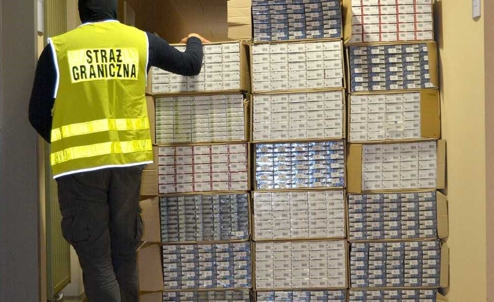 50-letnia kobieta BOSSEM grupy przestępczej - Zdjęcie główne