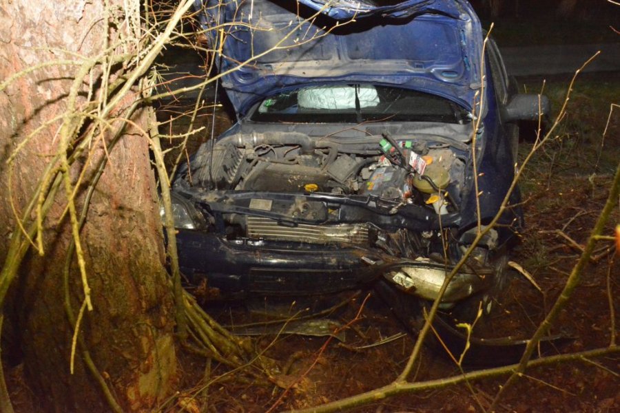 Nastolatka skończyła jazdę uderzeniem w drzewo! Dwie osoby w szpitalu [ZDJĘCIA] - Zdjęcie główne