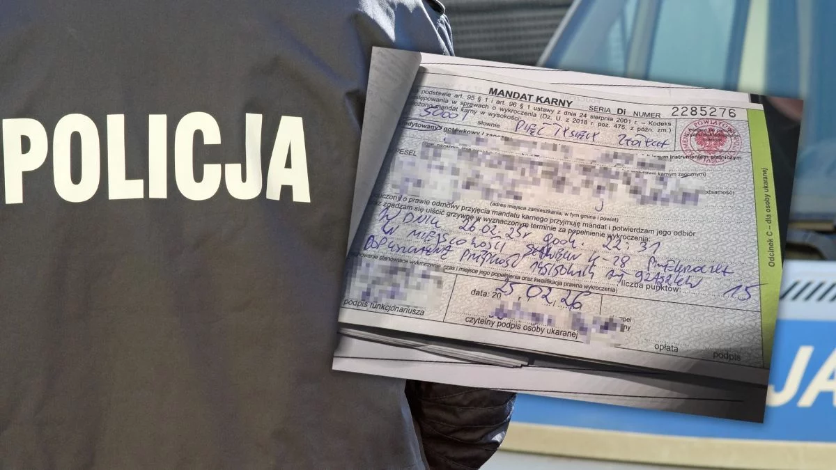 Ogromny mandat dla 19-latka z bmw. Policja z Podkarpacia nie miała litości - Zdjęcie główne