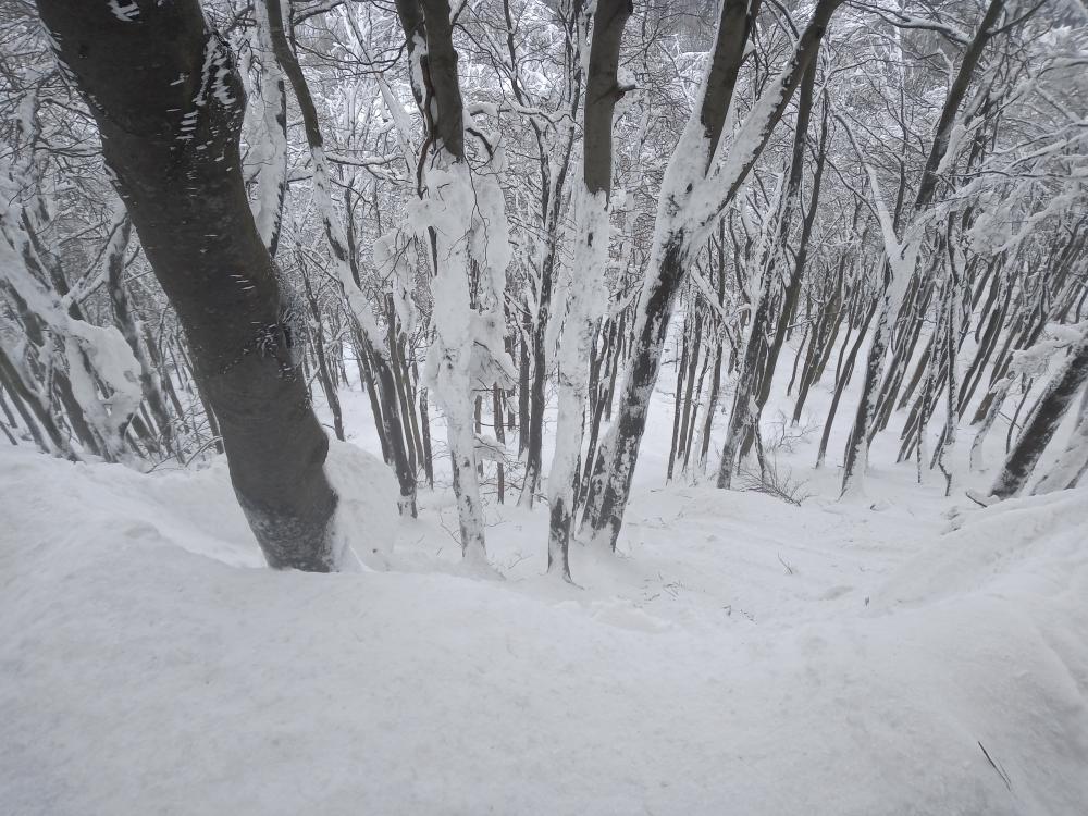 Wybierasz się w Beskid Niski? Uważaj na lawiny! - Zdjęcie główne