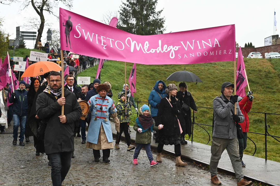Barwny korowód na inaugurację. Tak wygląda Święto Młodego Wina w Sandomierzu [ZDJĘCIA] - Zdjęcie główne