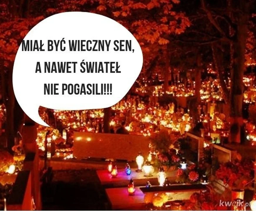Dzień Wszystkich Świętych 2023 w krzywym zwierciadle. Najlepsze memy na 1 listopada - Zdjęcie główne