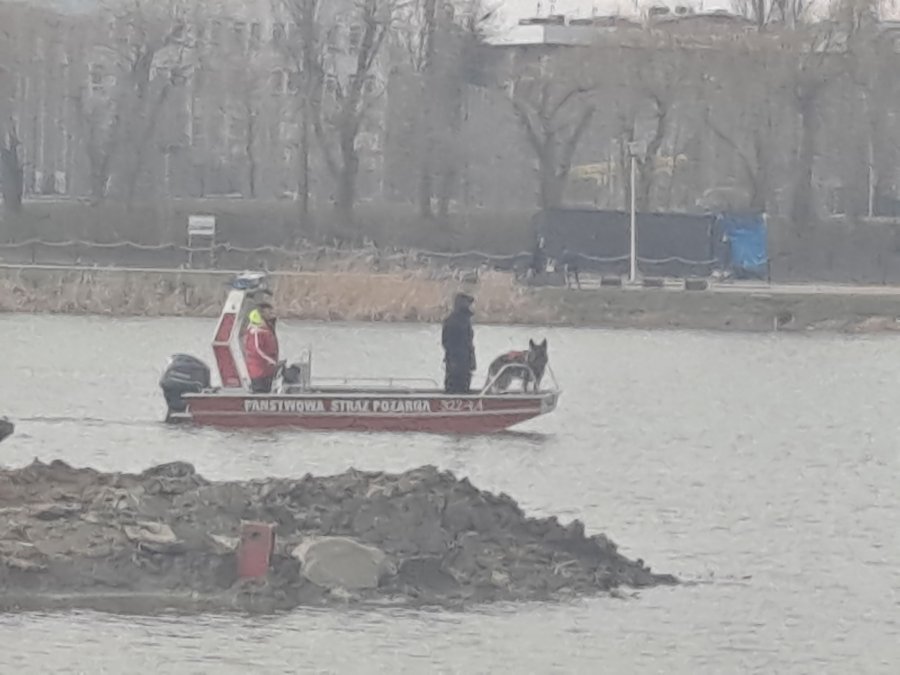 Policjanci z wydziału kryminalnego i przewodnicy z psami służbowymi z Komisariatu Wodnego Policji we Wrocławiu podczas poszukiwań zaginionego