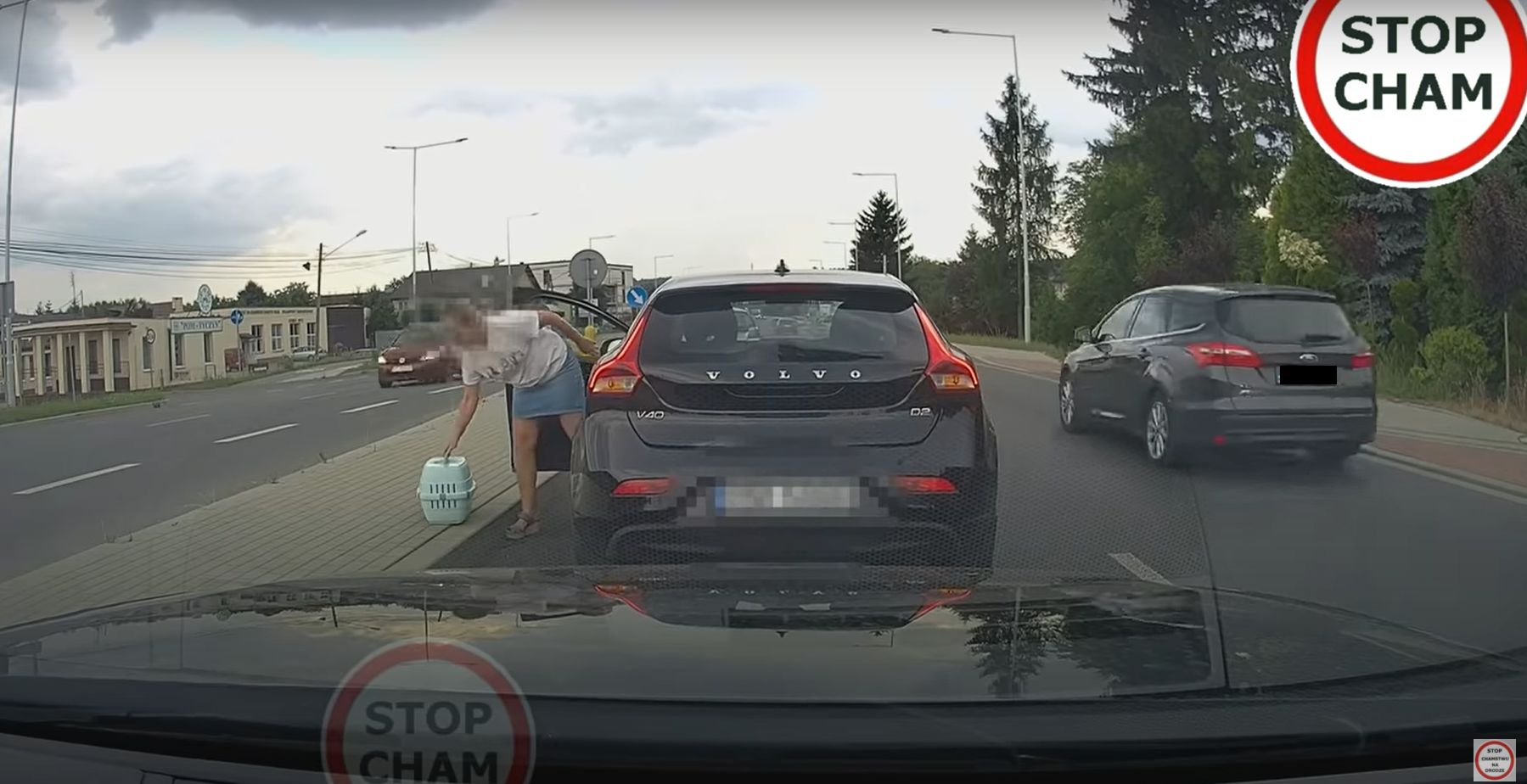 Zajechała drogę i zobaczcie co zrobiła?! [WIDEO] - Zdjęcie główne