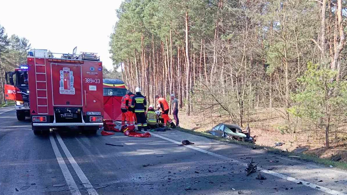 Groźny wypadek na drodze Tarnobrzeg - Stalowa Wola. Rozbiły się trzy pojazdy, na miejscu helikopter LPR. Są utrudnienia [ZDJĘCIA] - Zdjęcie główne