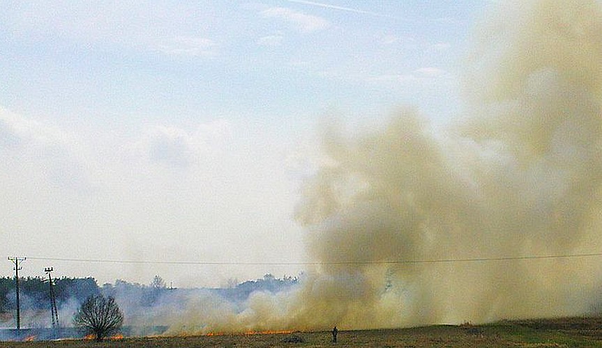 Wypalanie traw w środku miasta? [LIST CZYTELNIKA] - Zdjęcie główne