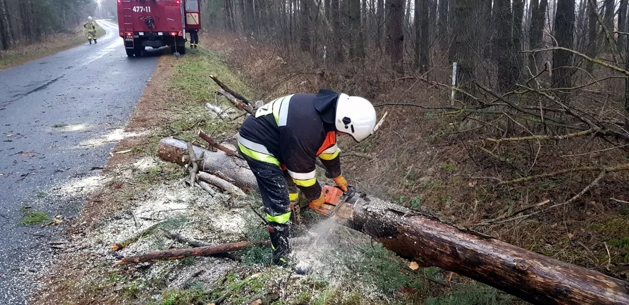 Wichura, burze śnieżne i gołoledź. To czeka nas w ciągu najbliższych dni [MAPY ONLINE] - Zdjęcie główne