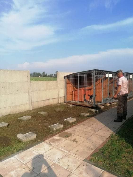 Obraz zniszczeń