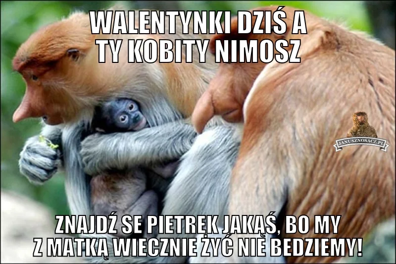Walentynki na wesoło. Zobaczcie najlepsze memy