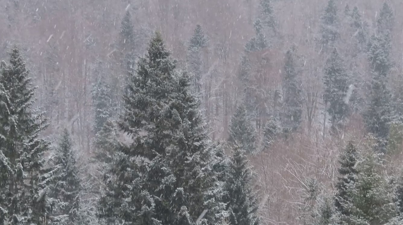 Pierwszy śnieg spadł w Bieszczadach. Zobacz nagranie - Zdjęcie główne