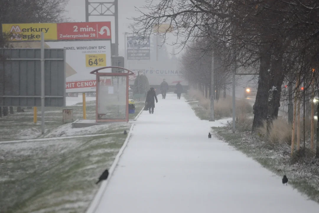 Sprawdź pogodę na Święta Bożego Narodzenia. Czy możemy liczyć na śnieg? [RADAR ONLINE] - Zdjęcie główne