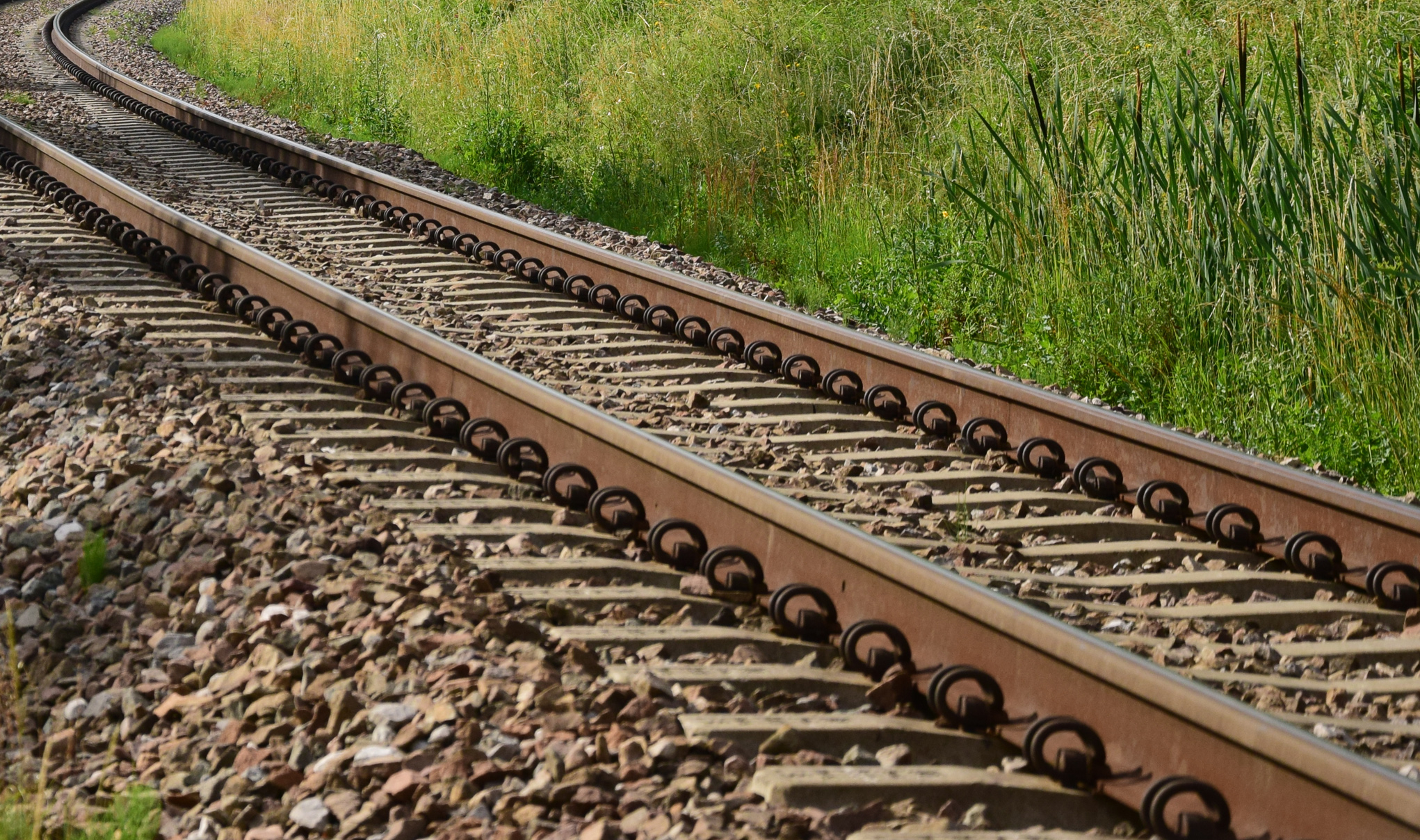 Wracają pociągi na trasę Munina – Hrebenne. Z Podkarpacia na Lubelszczyznę - Zdjęcie główne