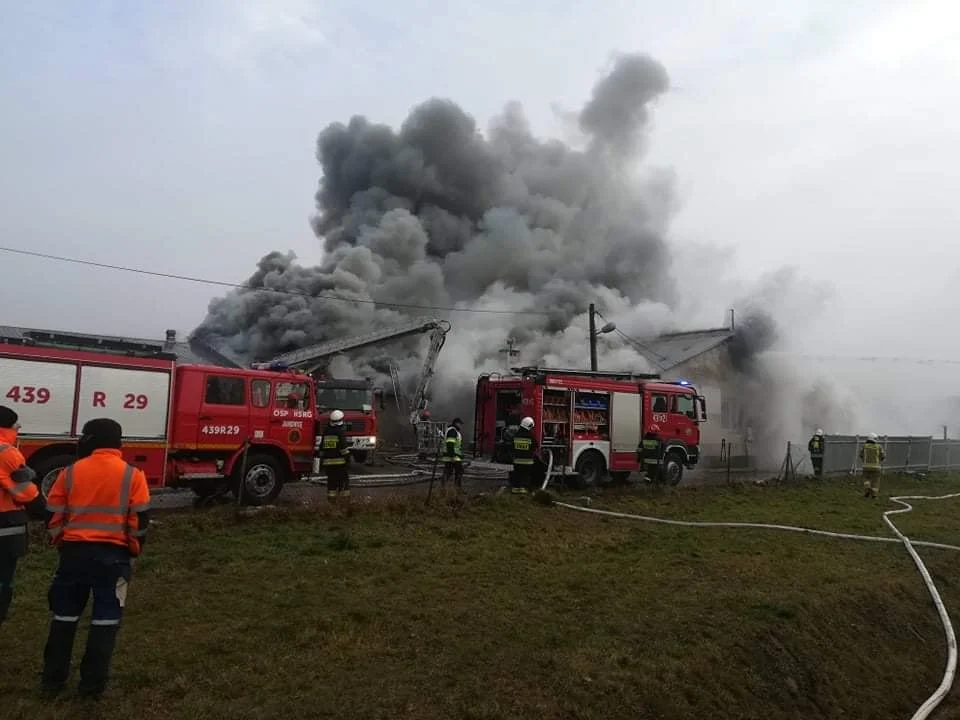 Pożar pralni dywanów w Mokrej koło Jarosławia. W akcji udział bierze prawie 60 strażaków! [ZDJĘCIA] - Zdjęcie główne