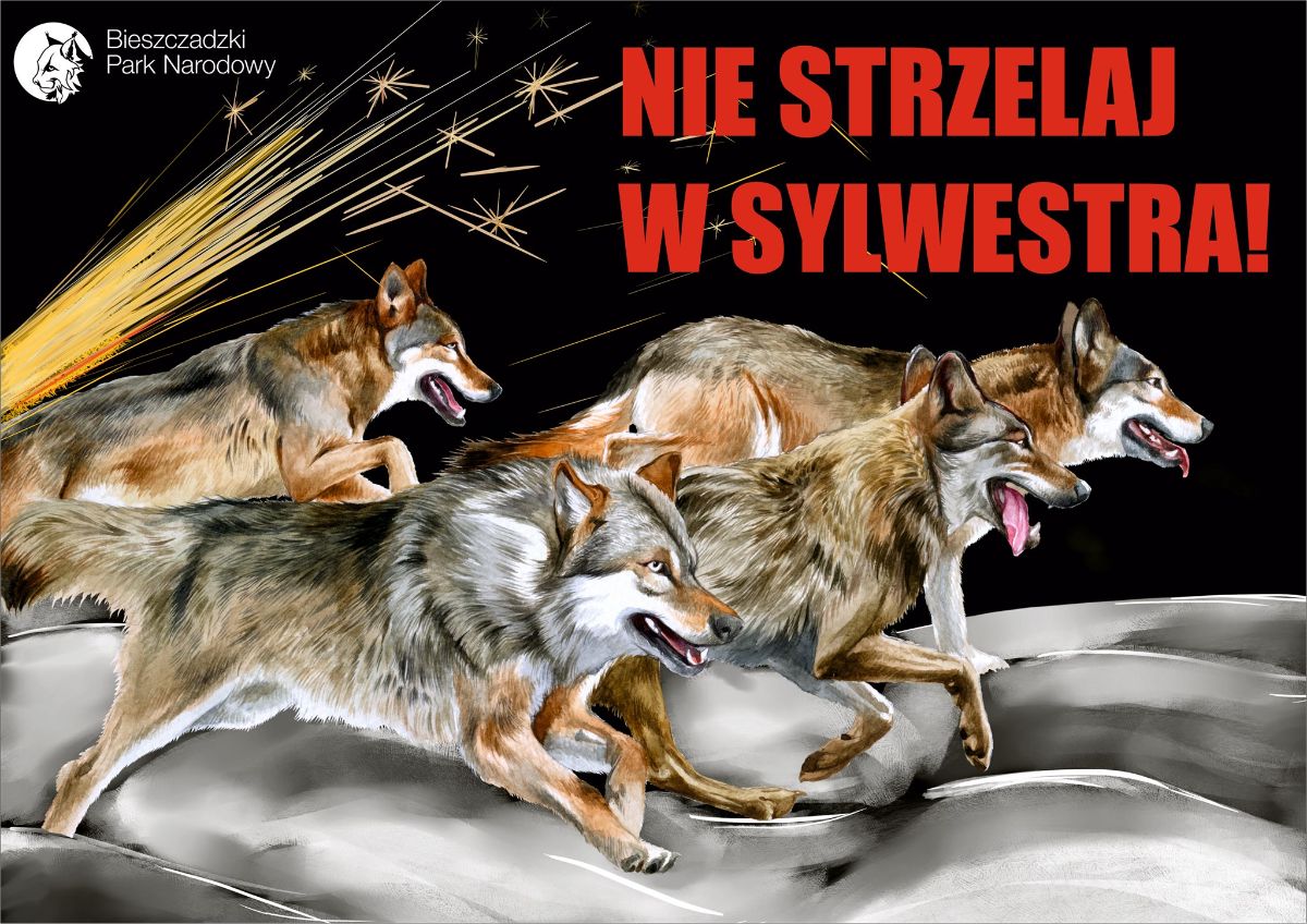 Nie strzelajmy w sylwestrową noc! - Zdjęcie główne