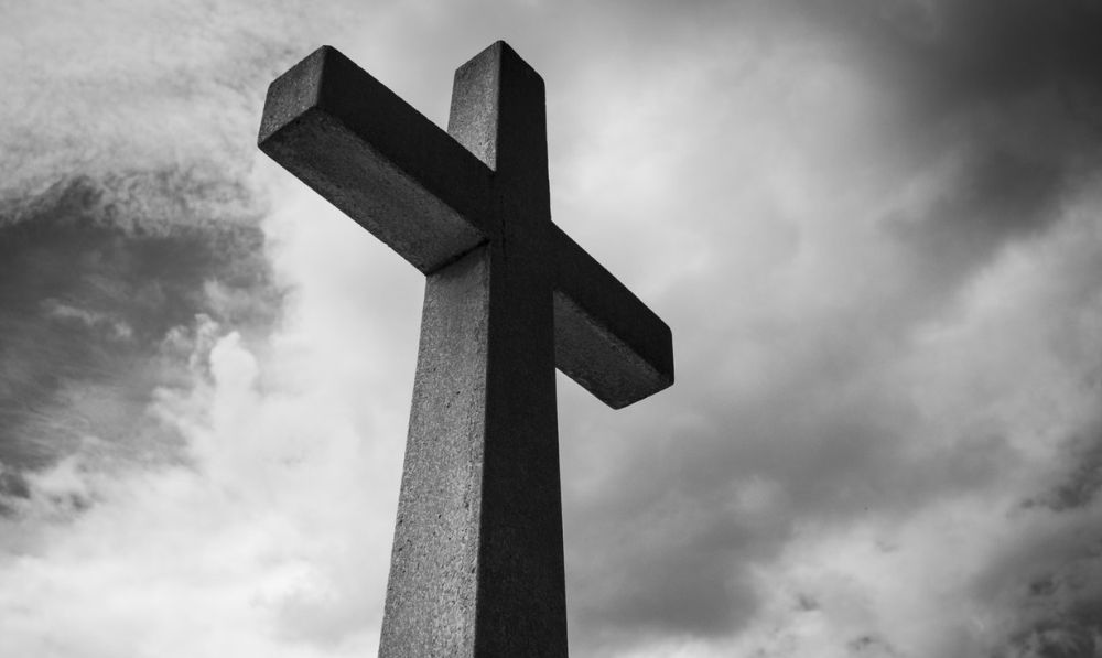 Straszne odkrycie wędkarza nad Sanem! - Zdjęcie główne
