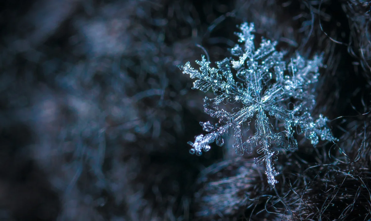 Przed nami noc z siarczystym mrozem. Jest ostrzeżenie Instytutu Meteorologii i Gospodarki Wodnej dla Podkarpacia [MAPA ONLINE] - Zdjęcie główne