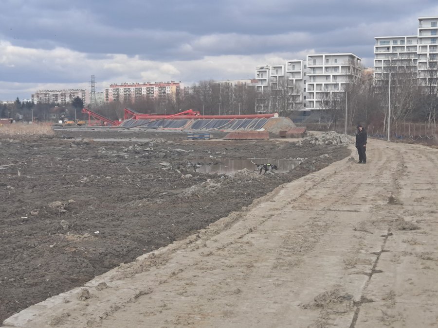 Policjanci z wydziału kryminalnego i przewodnicy z psami służbowymi z Komisariatu Wodnego Policji we Wrocławiu podczas poszukiwań zaginionego