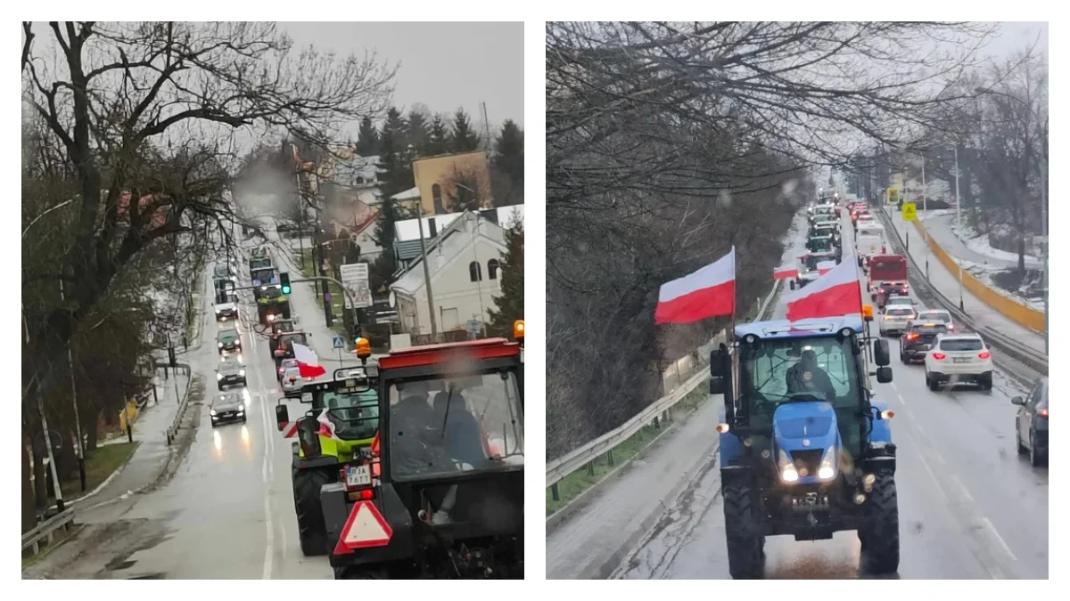 Rolnicy z Podkarpacia też protestowali. "Nie" dla żywności z Ukrainy! [ZDJĘCIA] - Zdjęcie główne