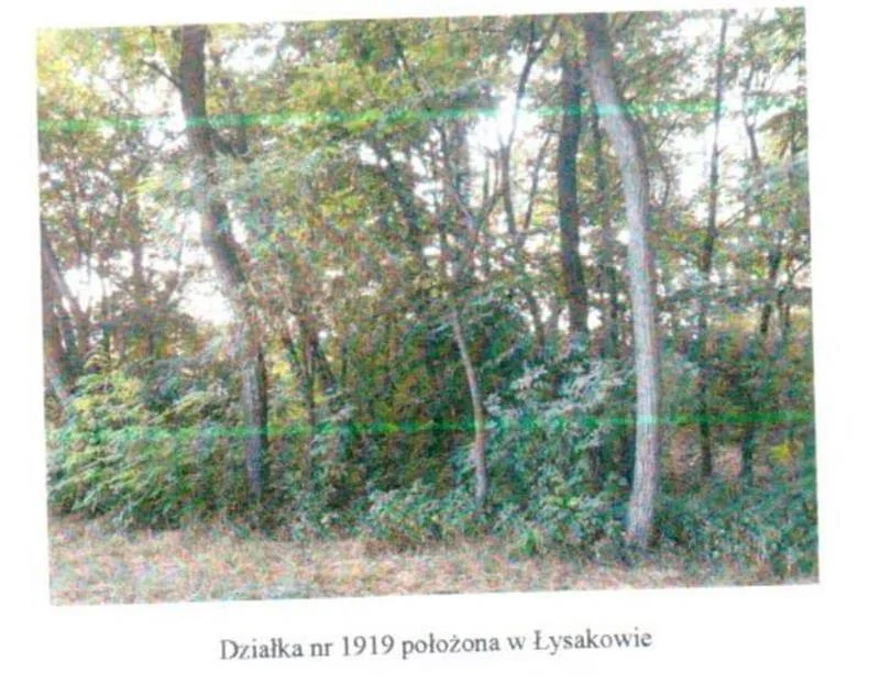 Niezabudowana nieruchomość gruntowa TB1M/00026198/7- dz. nr 1919 o pow. 0,05 ha- Łysaków, cena wywoławcza: 2 056 zł