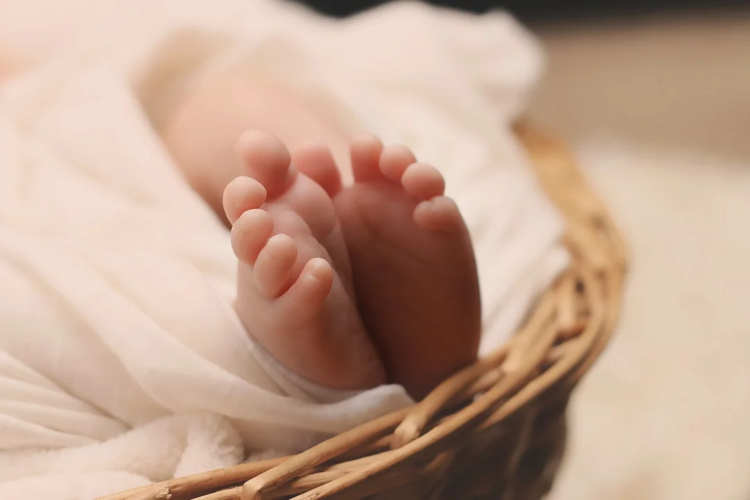 Nie żyje jedno z pięcioraczków z miejscowości Horyniec-Zdrój - Zdjęcie główne