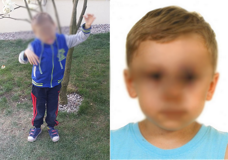 5 dzień poszukiwania 5-letniego Dawida [MAPA, FOTO, AUDIO] - Zdjęcie główne