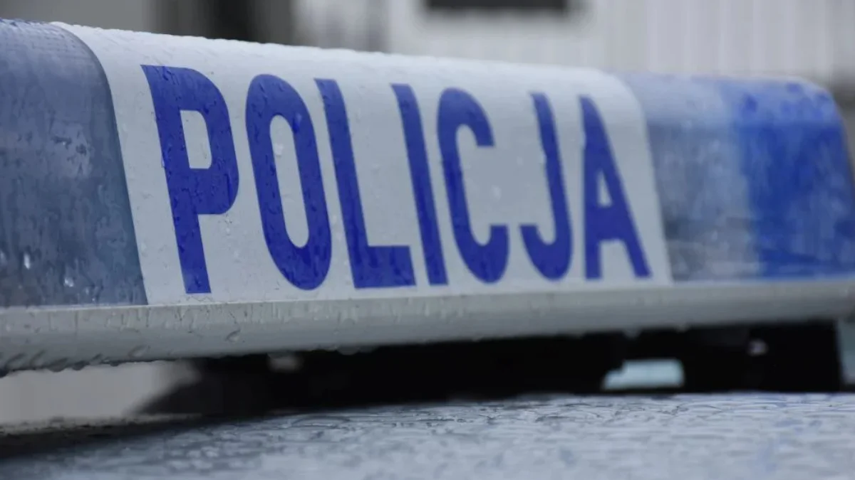 Wypadek w powiecie sandomierskim. Dachowanie pojazdu zakończyło się śmiercią kierowcy! - Zdjęcie główne