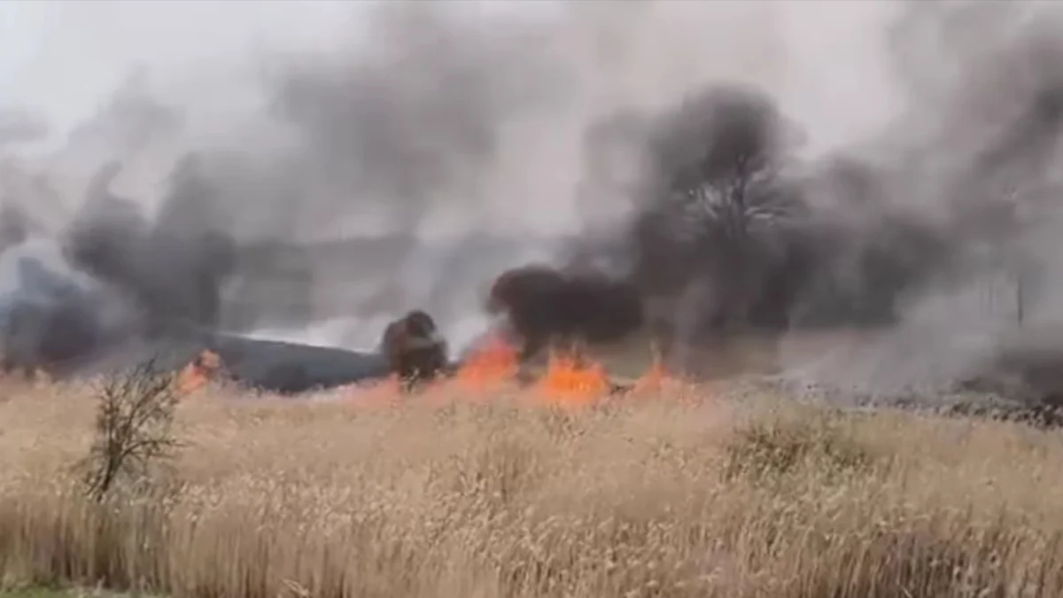 Płonęło trzcinowisko w Gorzycach. Strażacy długo walczyli z żywiołem [WIDEO] - Zdjęcie główne