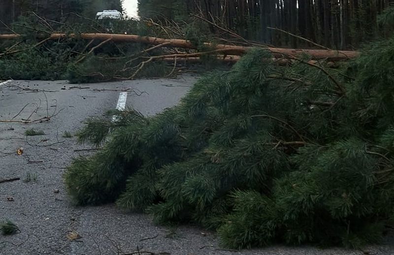 WICHURA szalała nad Podkarpaciem. TRĄBA POWIETRZNA na Lubelszczyźnie! [RAPORT] - Zdjęcie główne