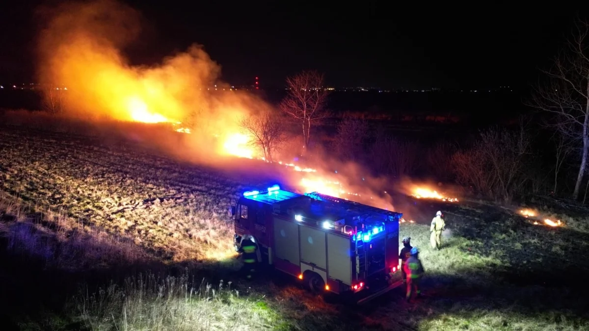 Pożary traw w Tarnobrzegu i okolicach. Straż pożarna miała ręce pełne pracy [ZDJĘCIA] - Zdjęcie główne