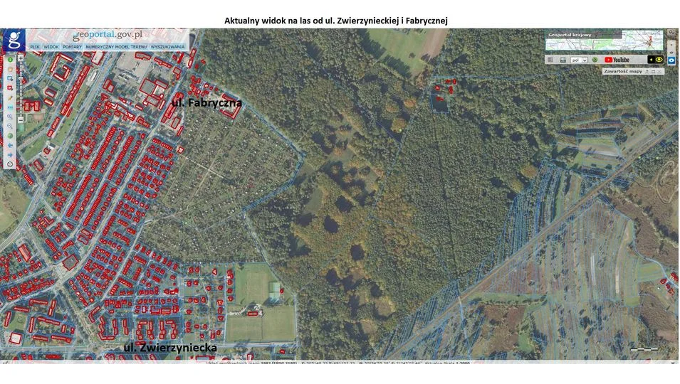 Las Zwierzyniecki w Tarnobrzegu znika na naszych oczach. Budowa obwodnicy jeszcze pogorszyła ten stan [PORÓWNAJ ZDJĘCIA] - Zdjęcie główne