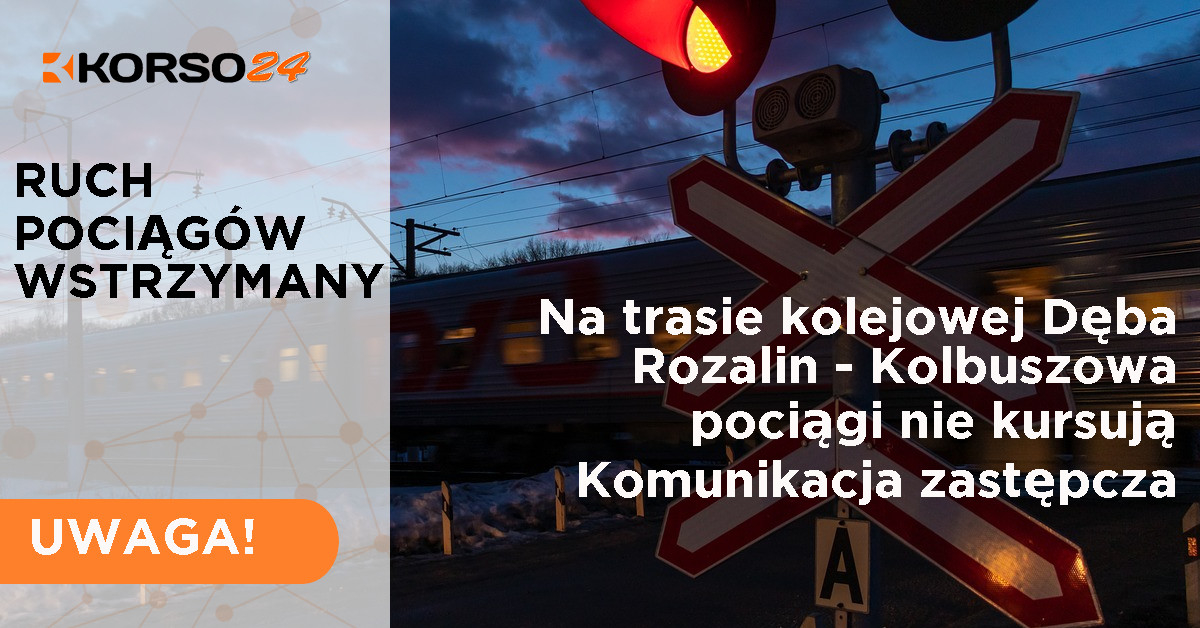 Ruch pociągów wstrzymany. Tragedia na trasie Stalowa Wola - Rzeszów - Zdjęcie główne