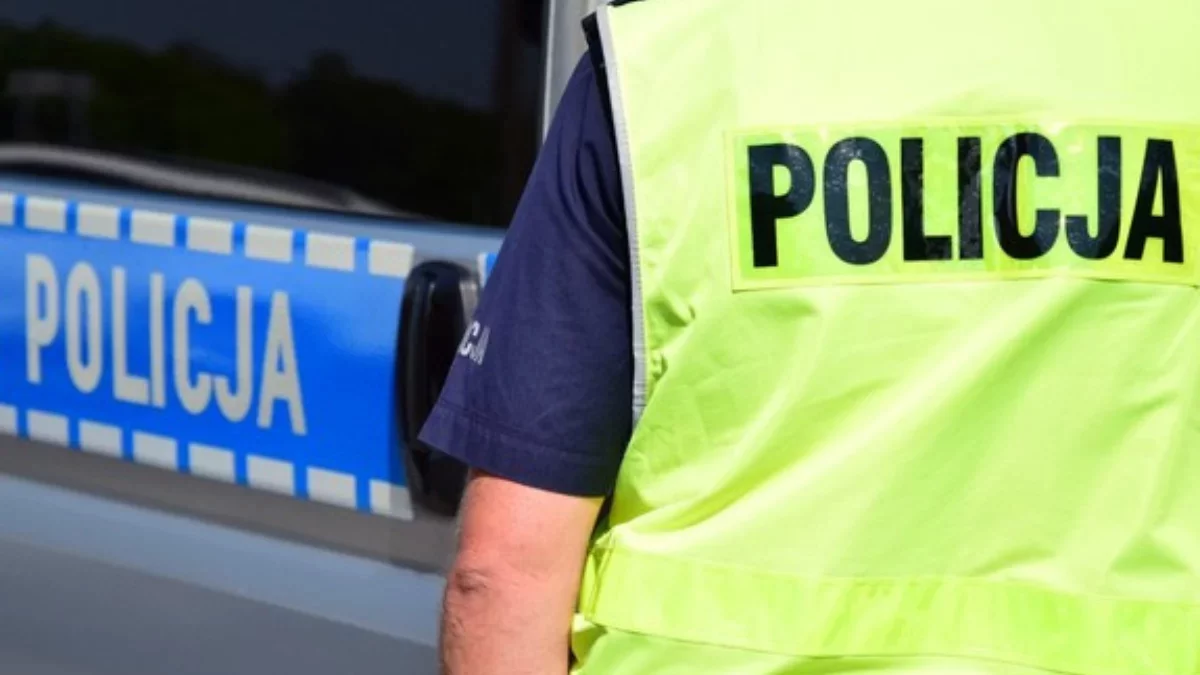 Bezpieczne święta na Podkarpaciu? Policja i strażacy podają statystyki - Zdjęcie główne