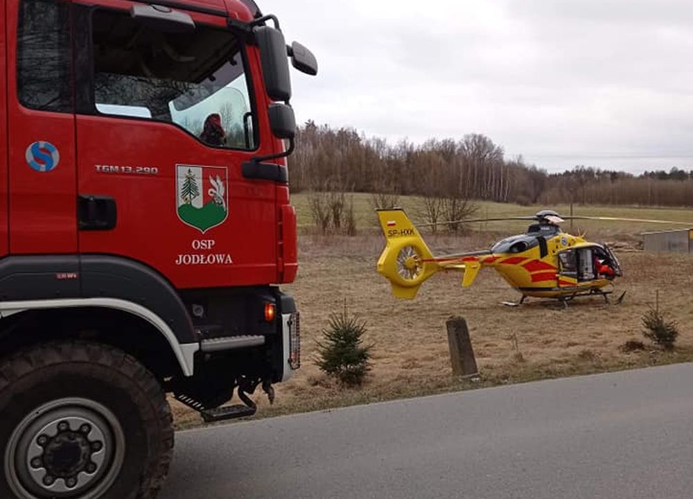 TRAGEDIA podczas wycinki drzew! - Zdjęcie główne