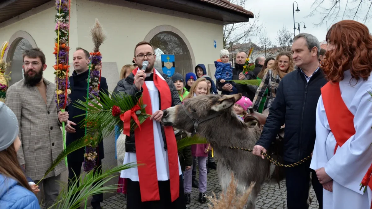 Niedziela Palmowa w Kolbuszowej z procesją i żywym osiołkiem [PLAKAT - ZDJĘCIA] - Zdjęcie główne