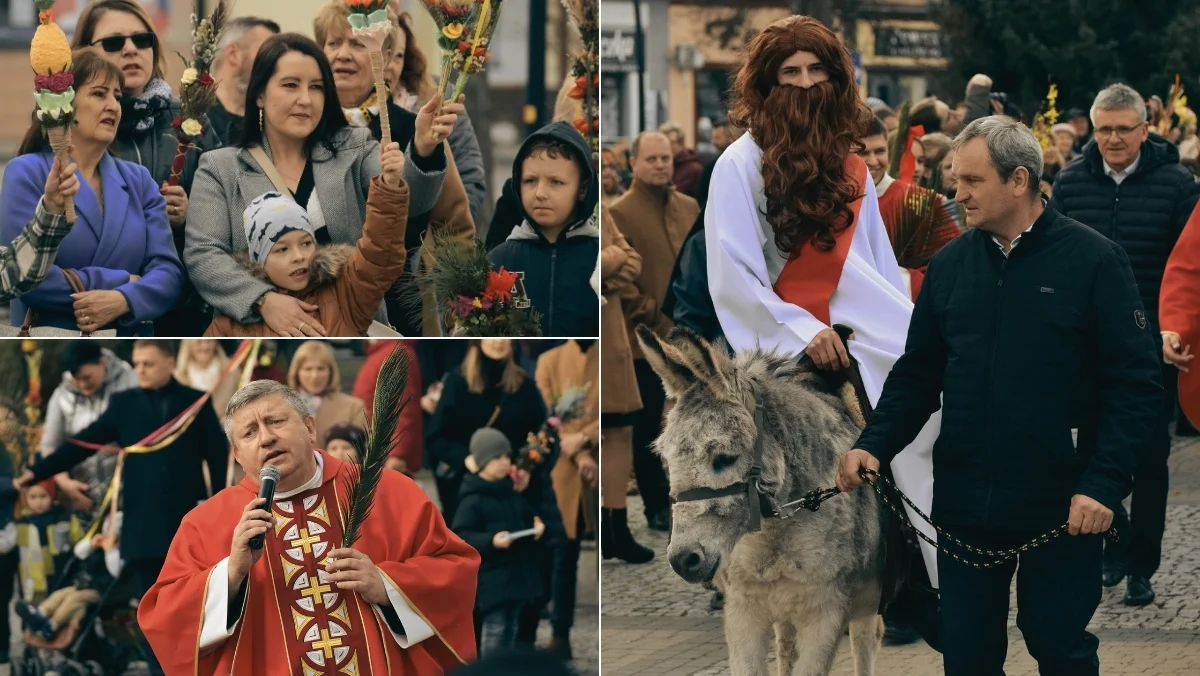 Niedziela Palmowa 2024 w Kolbuszowej. Procesja z żywym osiołkiem z rynku do kolegiaty [ZDJĘCIA] - Zdjęcie główne