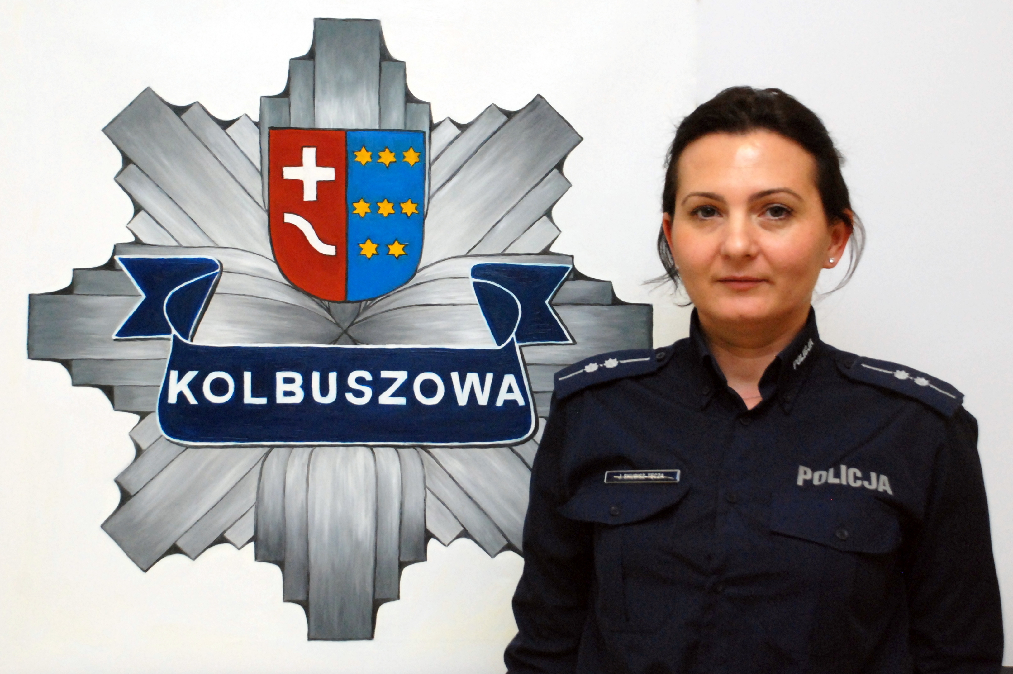 Pijani kierowcy, kolizje i dzikie zwierzęta na drodze. Pracowity tydzień kolbuszowskiej policji - Zdjęcie główne